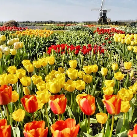 펜션 Noordwijk Holiday Rentals *