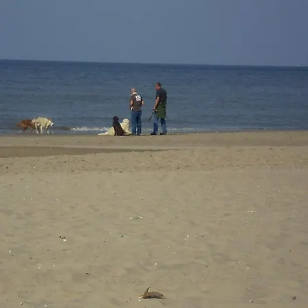 펜션 Noordwijk Holiday Rentals 노르트베이크