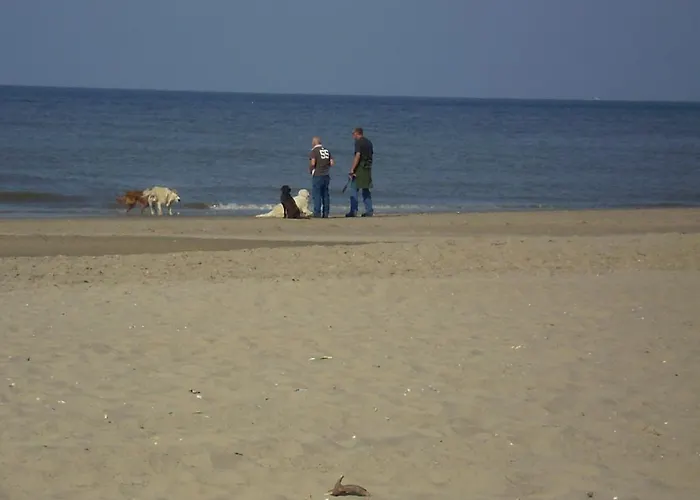 Vakantiehuis Noordwijk Holiday Rentals Noordwijk